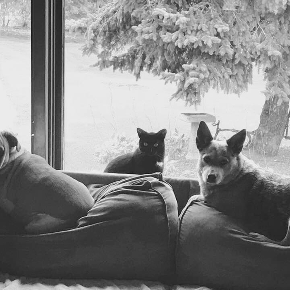 Meet your Posher, Laura - Picture 1 of 1